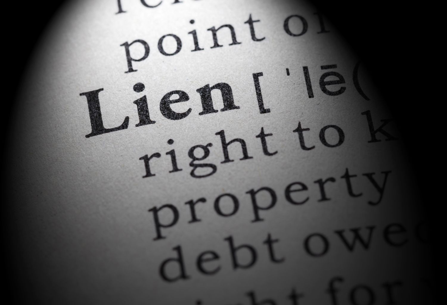Fake dictionary, Dictionary definition of the word lein representing Property Liens.